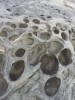 Выветрелый триасовый известковистый песчаник ячеисто-сотовой текстуры. Во время консолидации, обезвоживания пород (в период превращения песков в собственно породу песчаник) в горизонтах, насыщенных водой, происходило избирательное диффузионное перераспределение микрокомпонентов (в нашем случае – миграция карбонатного (CaCO3) и силикатного (песок) вещества. Ячеисто-сотовая текстура образовалась в результате избирательного поверхностного выветривания. Образовавшиеся стяжения приобретали округлую форму как наиболее устойчивое состояние (закон минимизации энергии).