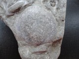Фото1Если это бухта Карпинского, то, скорее всего, находка сделана около мыса Шмидта, где обнажены тиролитовые слои средней части оленекского яруса нижнего триаса с брахиоподами (около 250 млн. лет).