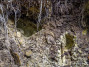 Лизунцы - места вылизывания глинистого грунта животными