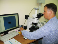 Дмитрий Федосеев за микроскопом NIKON 100 POL (Япония)