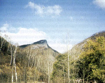      XIX  